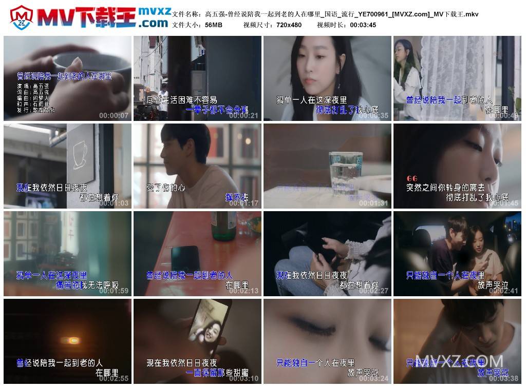 高五强-曾经说陪我一起到老的人在哪里_国语_流行_YE700961